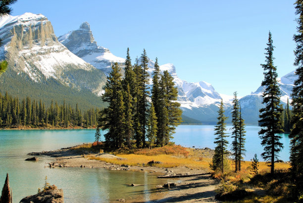 精灵岛，恶性湖，贾斯珀国家公园，阿尔伯塔，加拿大图片下载