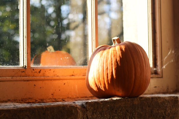 窗台上的南瓜图片下载