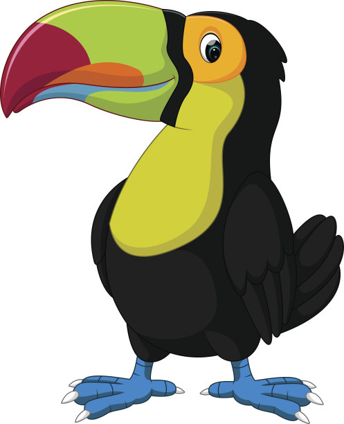 卡通快乐鸟巨嘴鸟图片下载