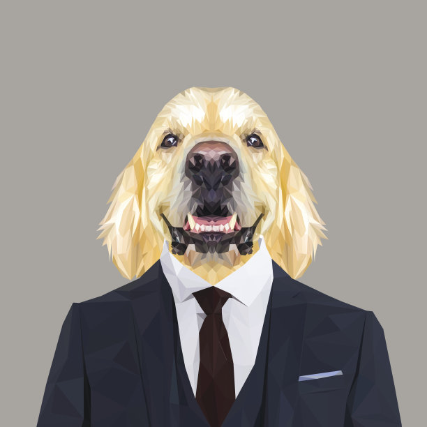 身着藏青色套装的金毛猎犬。素材图片