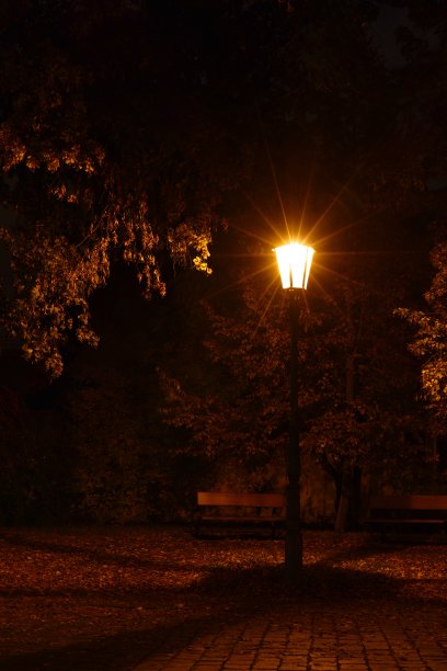 秋天公园里的古董灯图片下载