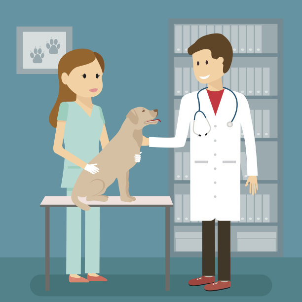 兽医和狗图片下载