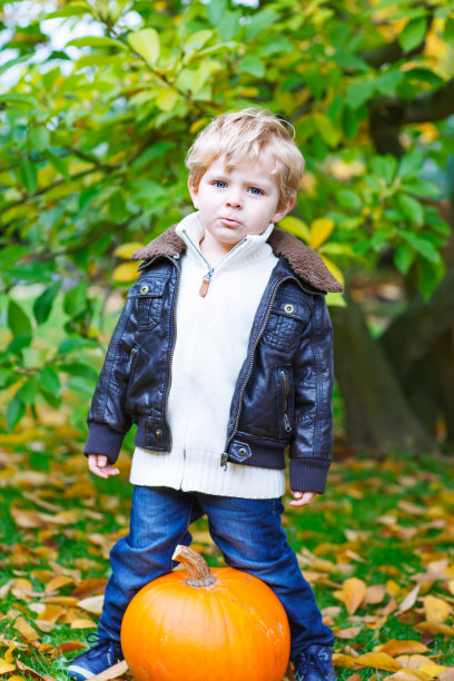 蹒跚学步的小男孩在花园里有个大南瓜图片下载