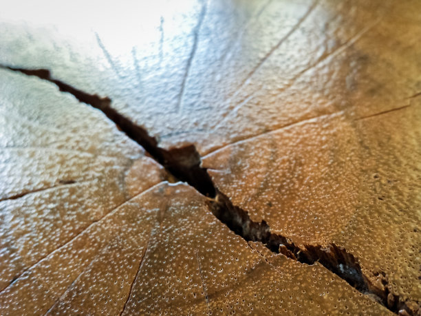 木纹纹理图片下载