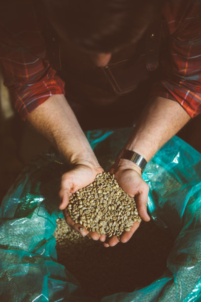掌握如何选择生咖啡豆图片下载