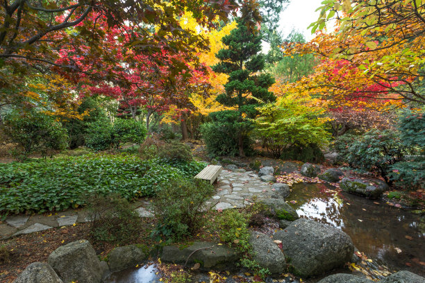 秋天的日本花园色彩鲜艳图片下载