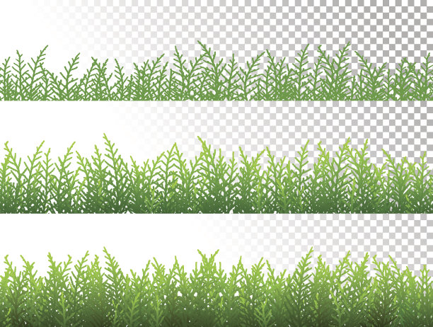绿草边界设置在透明背景矢量图片下载