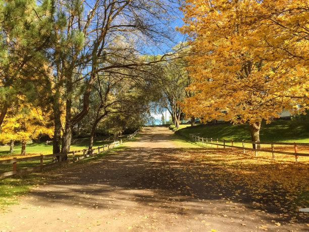 秋天的乡村路图片下载