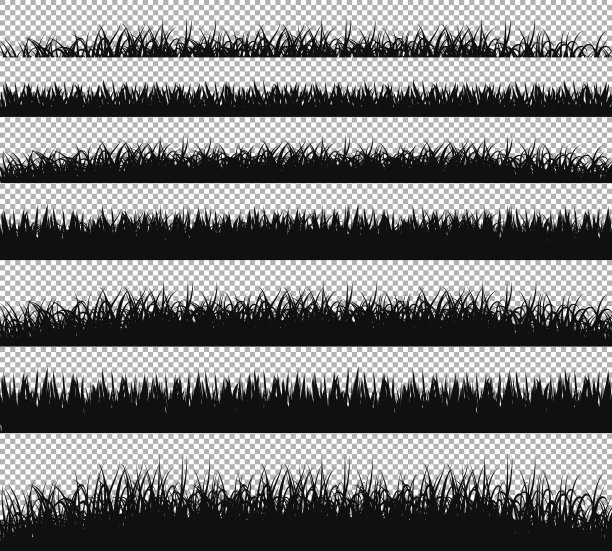草边界剪影设置在透明的背景矢量素材图片