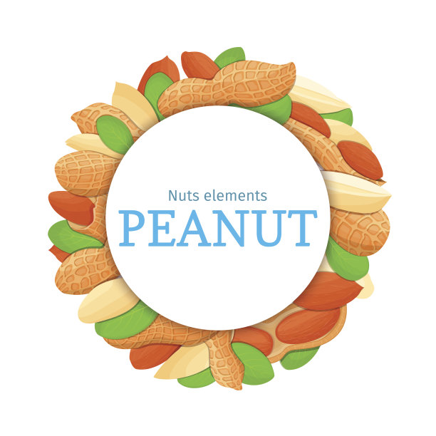 圆形的彩色框架由花生和坚果组成。向量卡说明图片下载