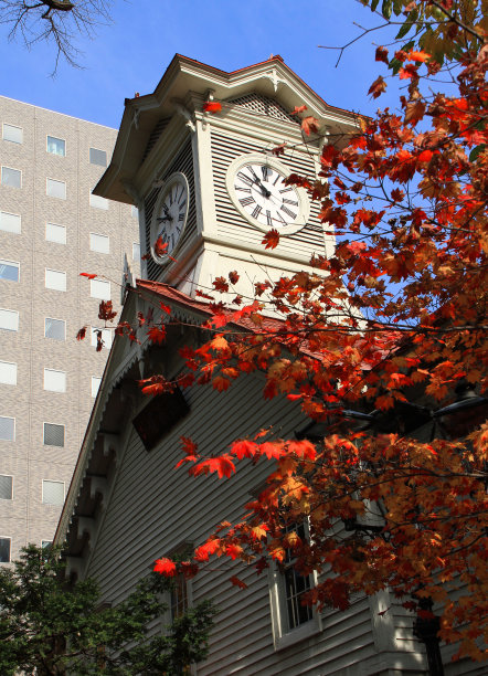 札幌钟楼秋日图片下载