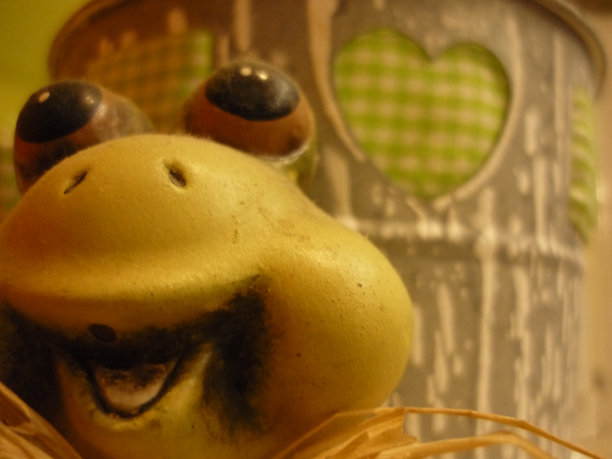 现在你可以亲吻…图片下载