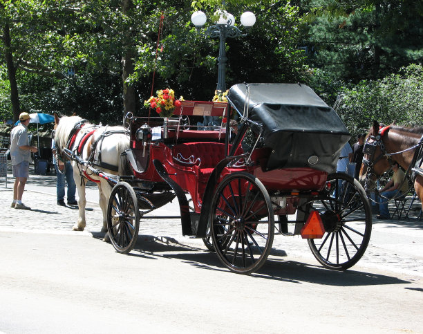 马车图片下载