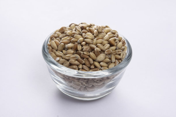 小麦种子放在一个玻璃碗里图片下载