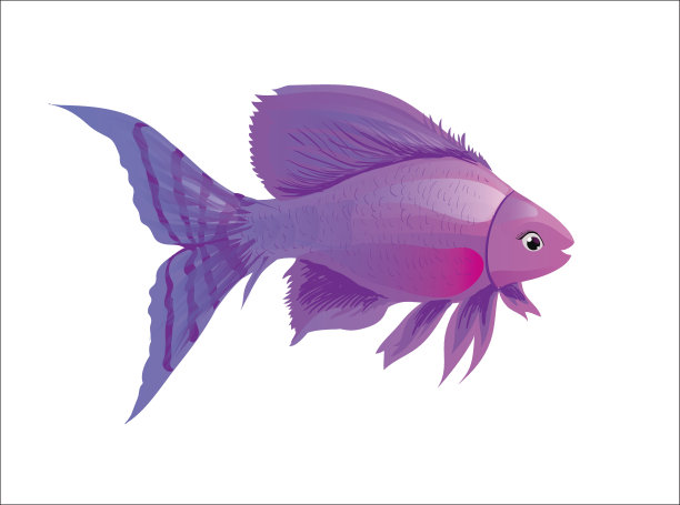 紫色的鱼卡通图片下载