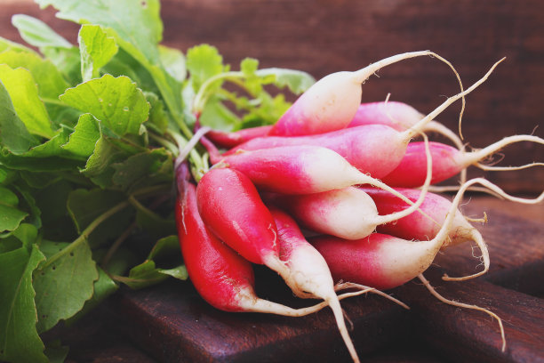 一束绿色叶子的红色花园萝卜图片下载