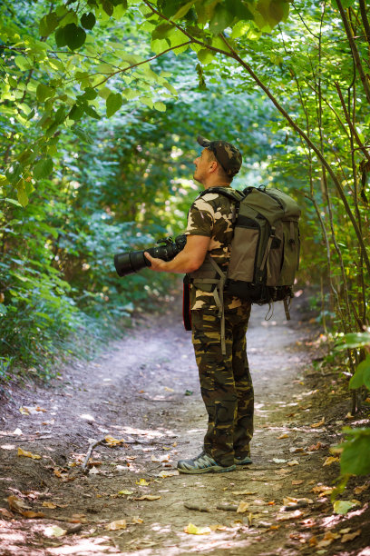 专业的野生动物摄影师图片下载