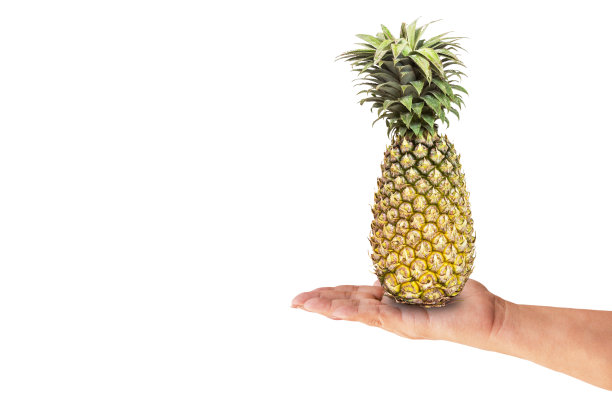 成熟的菠萝在白色背景上分离图片下载