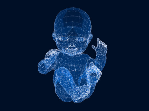 3d线框宝宝设计。图片下载