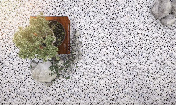 3d渲染自然背景盆景树在日本花园图片下载