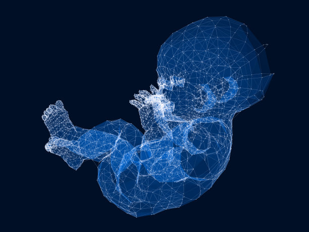3d线框宝宝设计。图片下载