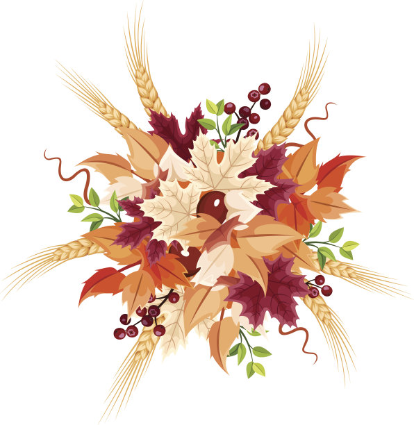 秋天叶子的花束。矢量插图。图片下载