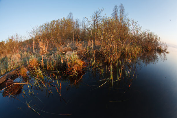早....湖。图片下载