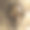 油画插画素材ID：136529026