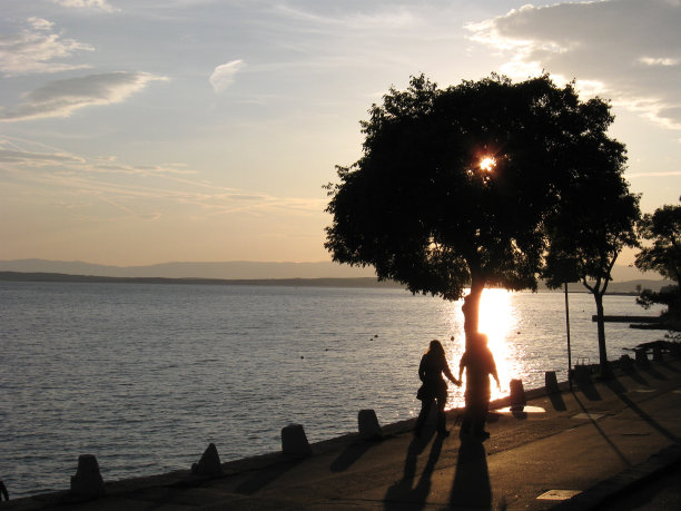 走在木板路上图片下载