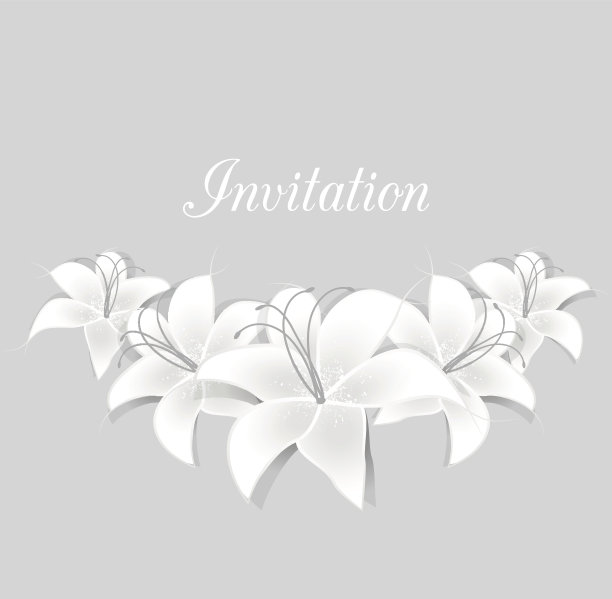 向量白百合图片下载