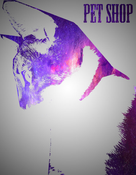 猫的标志图片下载