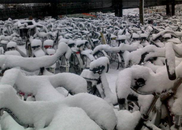 海的雪图片下载