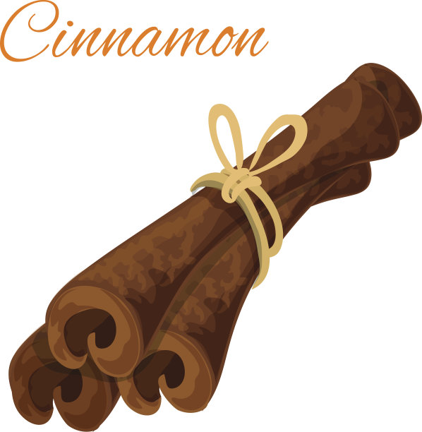 肉桂树皮香料孤立图标图片下载