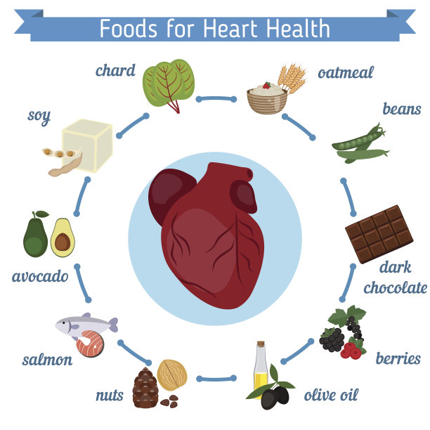 健康心脏食品信息图表图片下载