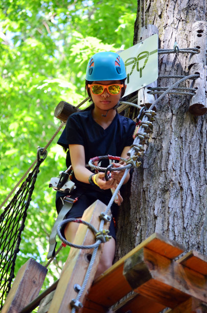 树顶徒步旅行图片下载