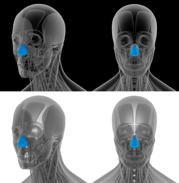 naris扩张器的3D渲染图图片下载
