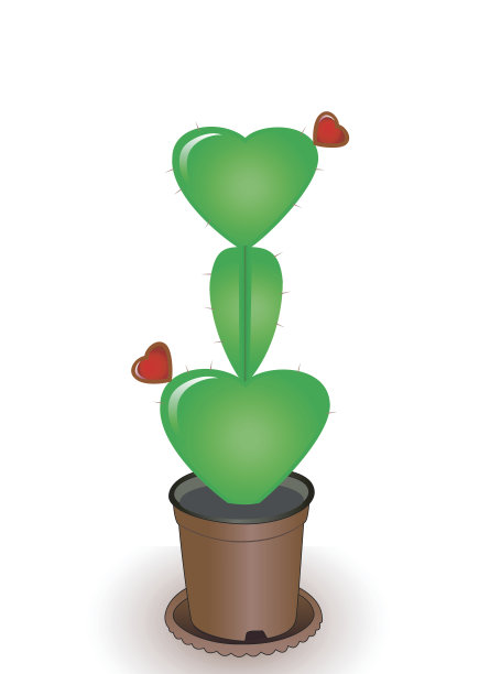 仙人掌，花心图片下载