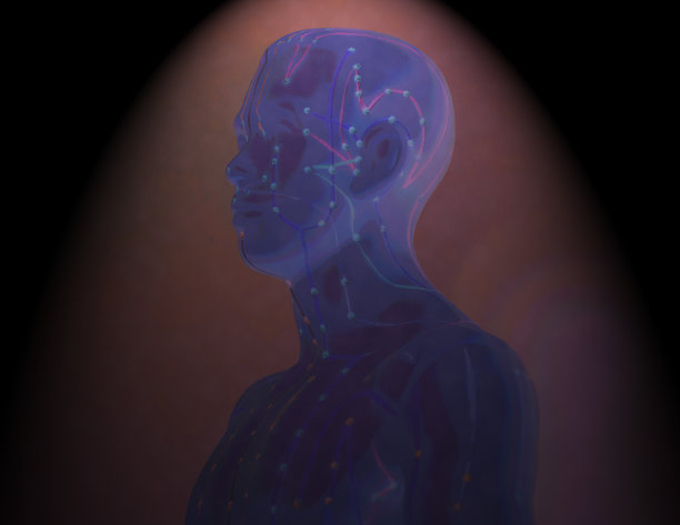 人体针灸医学模型图片下载