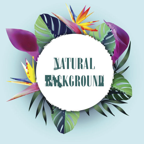 夏季热带夏威夷背景。图片下载