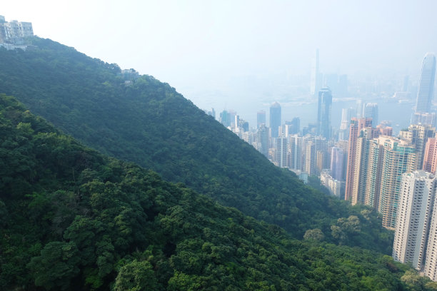 从山顶俯瞰香港城市图片下载