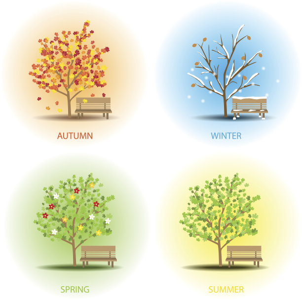 季节的树图片下载