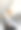 美丽的黑发女孩躺在床上和她的可爱的狗图片下载