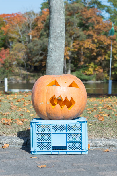 万圣节的南瓜在花园里图片下载