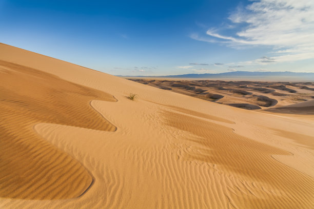 戈壁沙漠上令人惊叹的抽象图案。图片下载