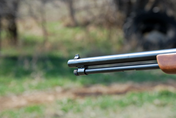 一桶点22口径的散弹枪图片下载