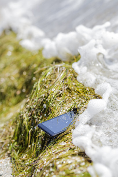 丢在海里的手机图片下载