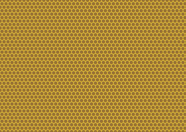 蜜蜂的蜂巢插图图片下载