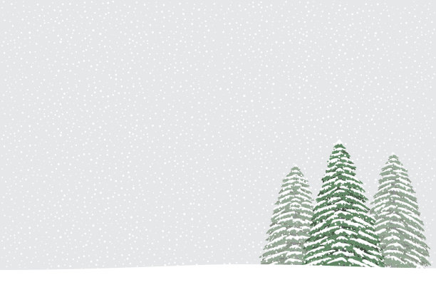 松树和雪。冬天。素材图片