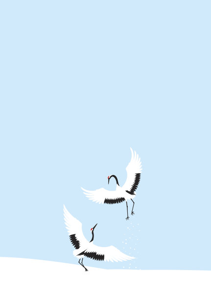 冬天起重机跳舞。日本的风景。图片下载