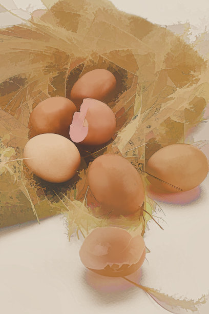 近距离画鸡蛋图片下载